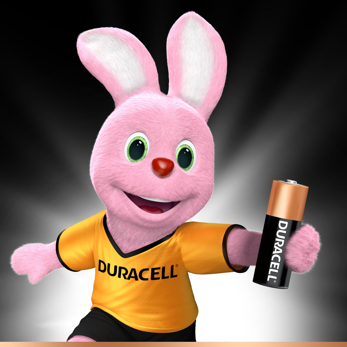 Duracell Batt. Spec. Mn21 A2