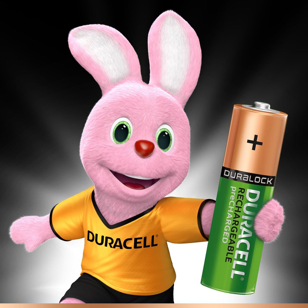 Duracell Stay Charged Aa A4
