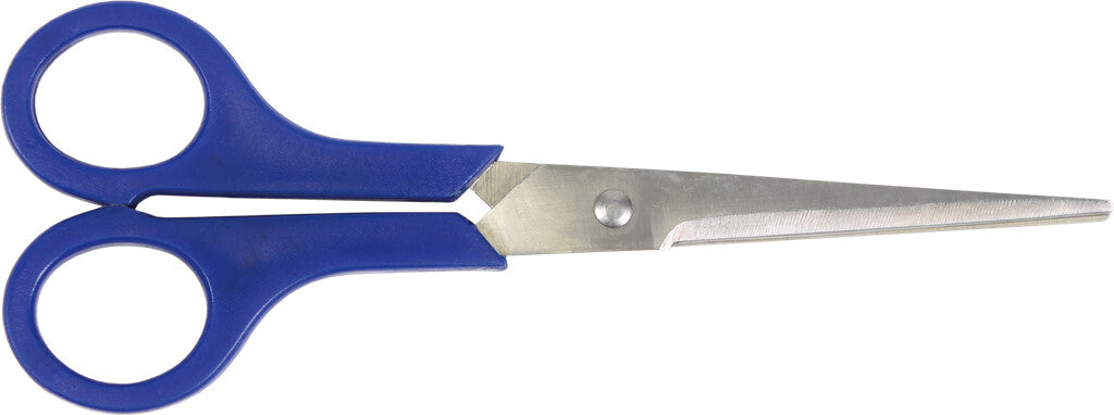 Cyclus Schaar Rvs
