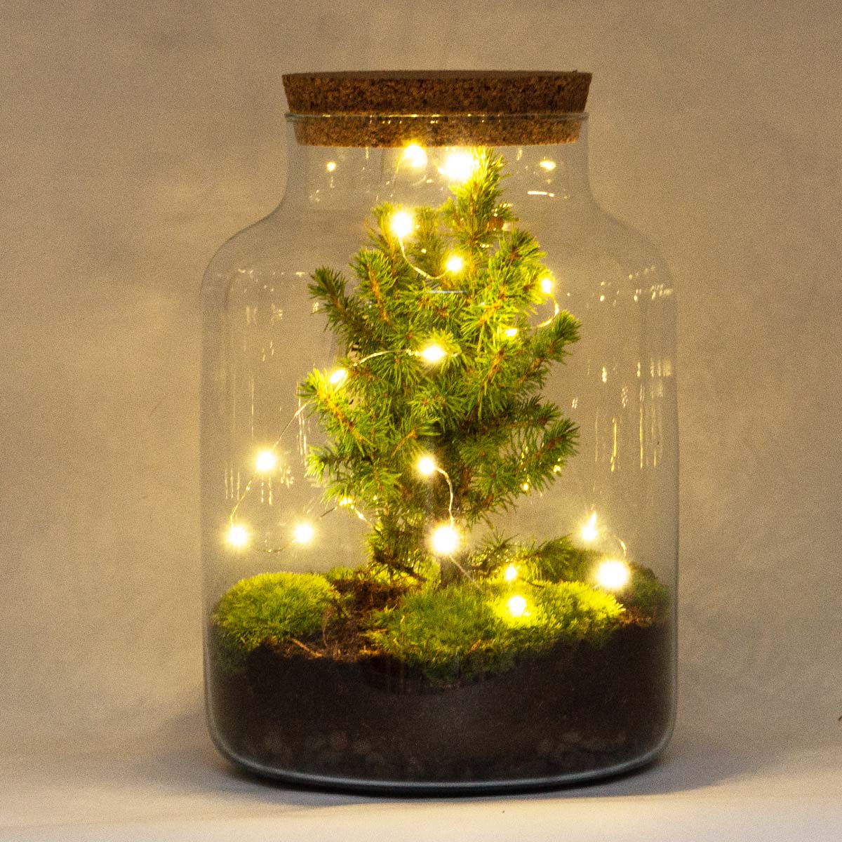 Battery-Operated String Lights - 1 Meter - Warm White - 20 Led Lights