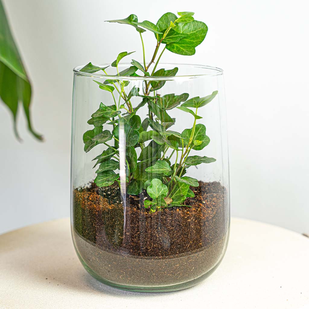 Vase Martin - Diy Kit - ↑ 17 Cm