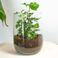 Vase Martin - Diy Kit - ↑ 17 Cm