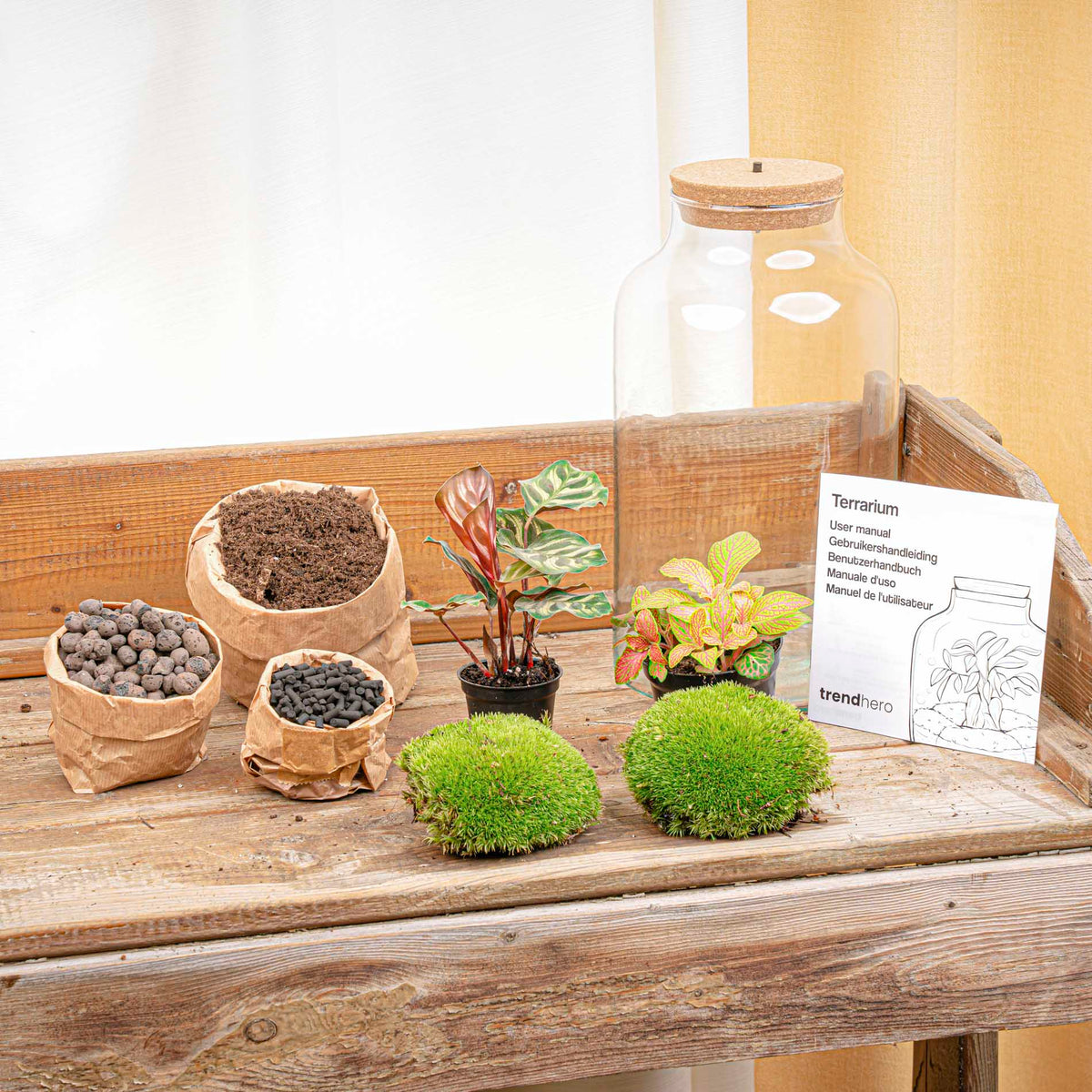 Terrarium Diy Kit - Milky Calathea With Light - Bottle Garden - ↑ 31 Cm