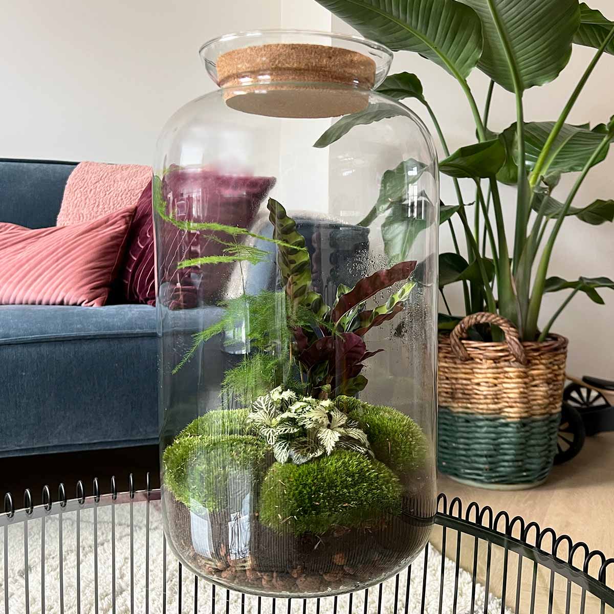 Terrarium Diy Kit - Botanical Sven Xl + Light - Bottle Garden - ↑ 43 Cm