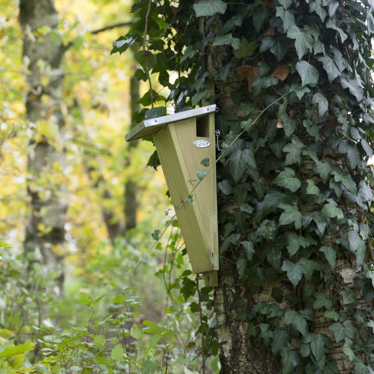Treecreeper Birdhouse - Nesting Box - Garden Animals