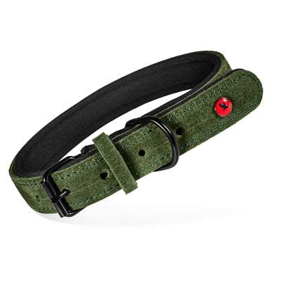 Zolux Expert Halsband Hond Premium Leer / Neopreen Groen 60X2,5 Cm