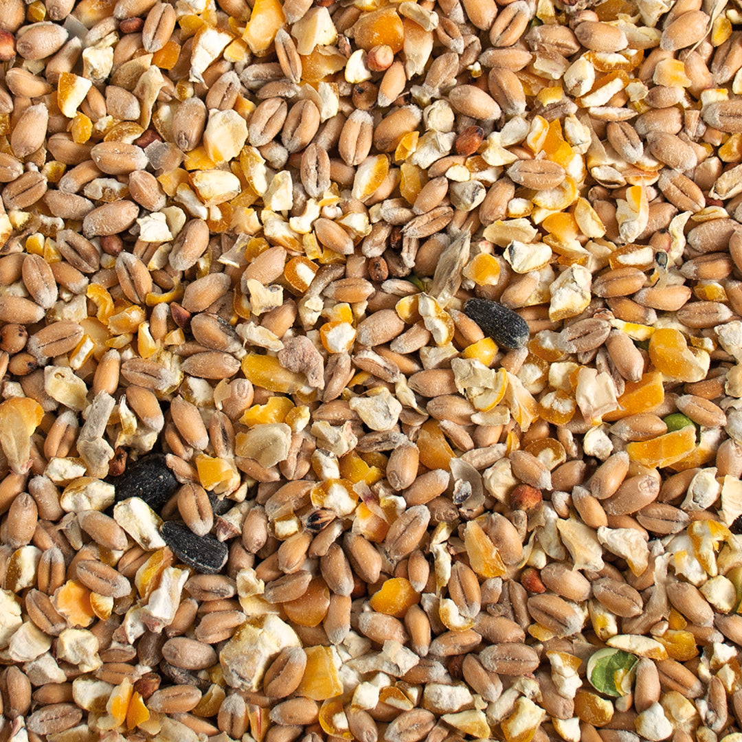 Poeljen mix