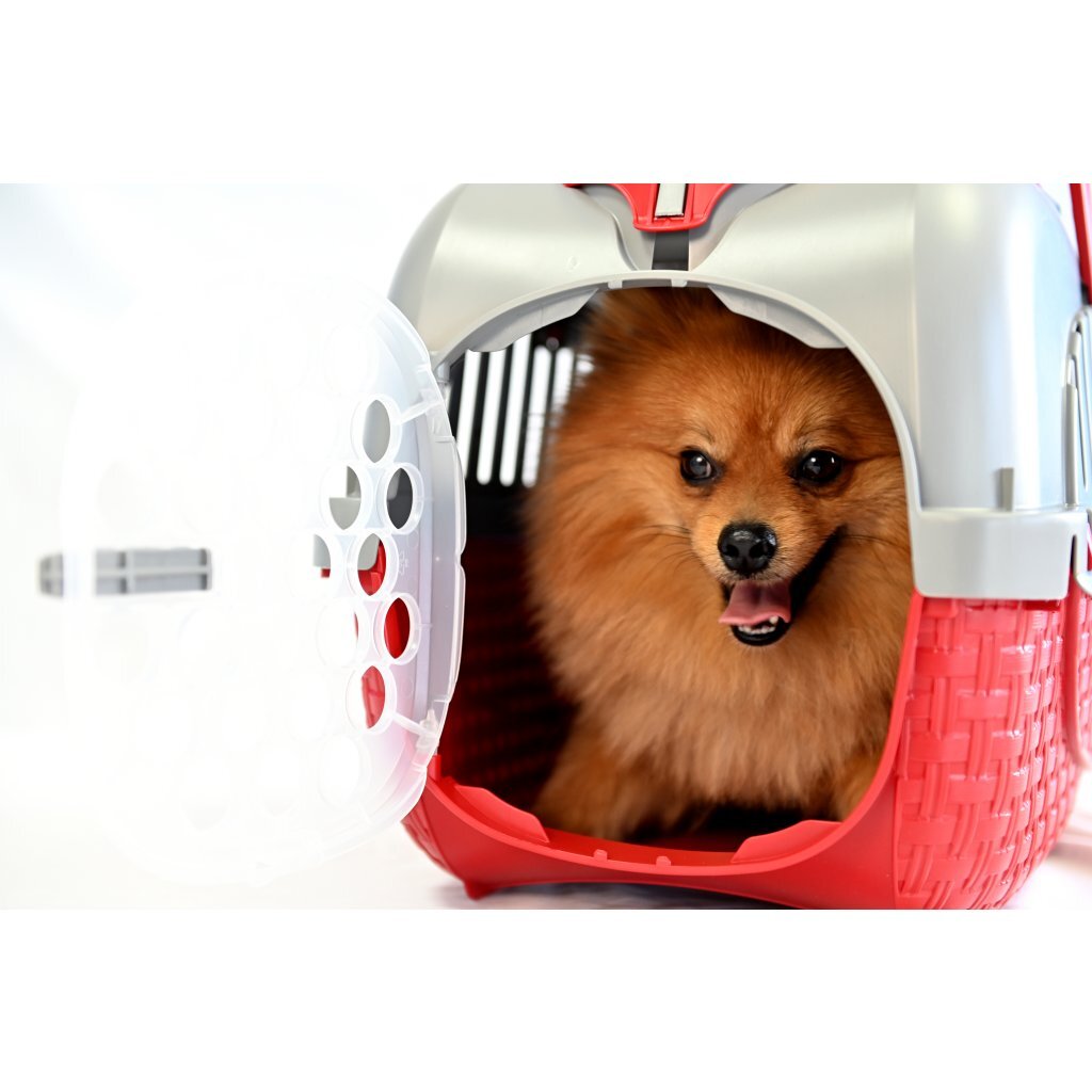 Bama Pet Transportbox 52X33X34 Cm Rood/Zilver