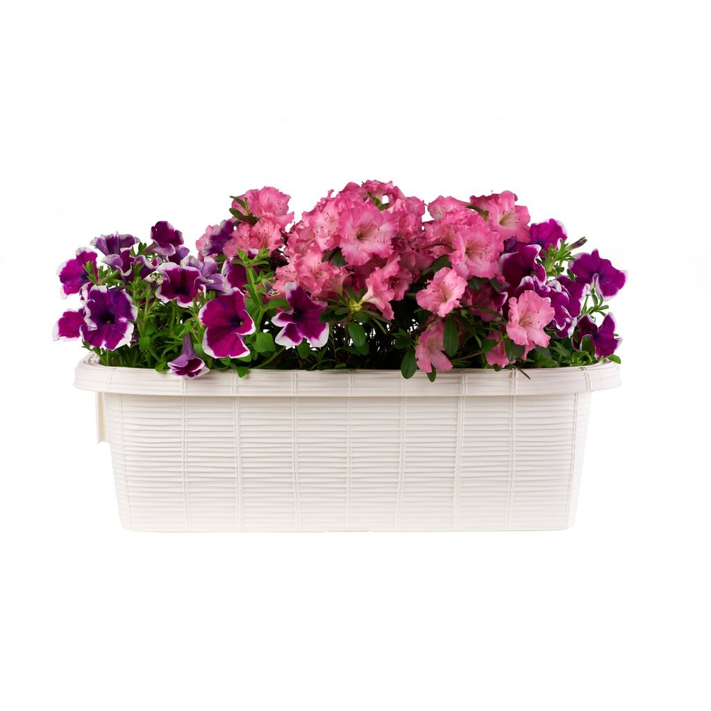 Bama Fioriera Bloem-Balkonbak 60X20X18.5 Cm Wit