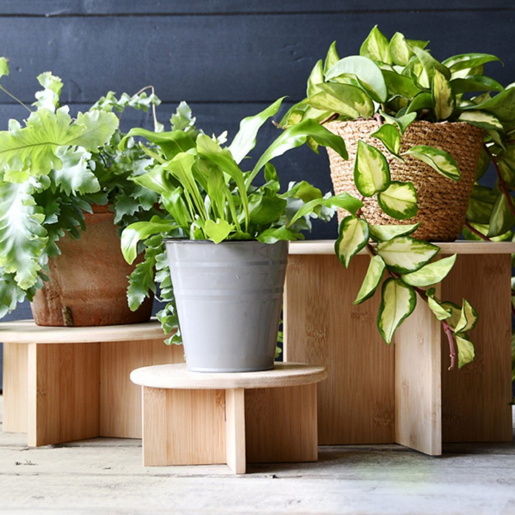Esschert Design Bamboe Plantentafeltje 18X8.5 Cm