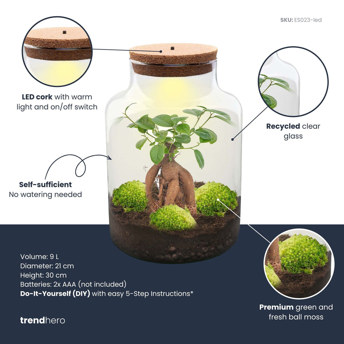 Milky Bonsai - Terrarium - Bottle Garden Diy Kit - Ø 21 Cm ↑ 30 Cm
