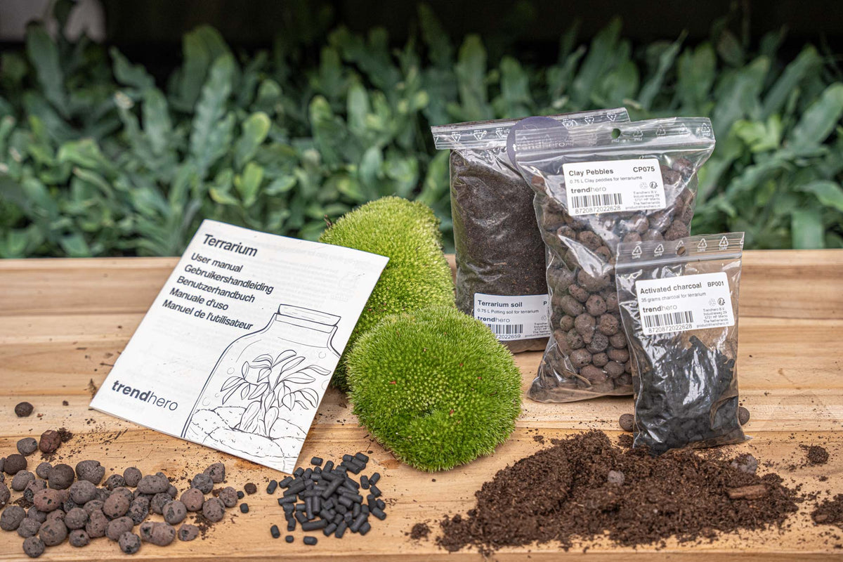 Terrarium Package – Refill & Starter Package – Diy Terrarium Kit – Size S/M