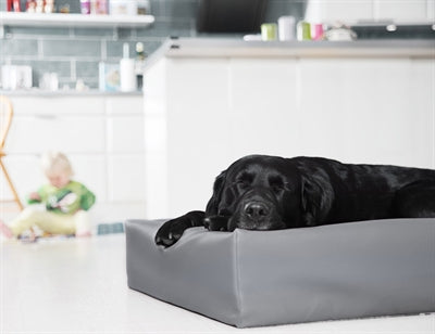 Bia Bed Dog Basket Grey
