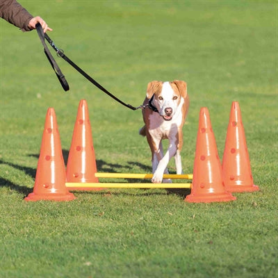 Trixie Dog Activity Hurdle Set