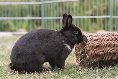Trixie Willow Tunnel Rabbit 38X20X20 CM