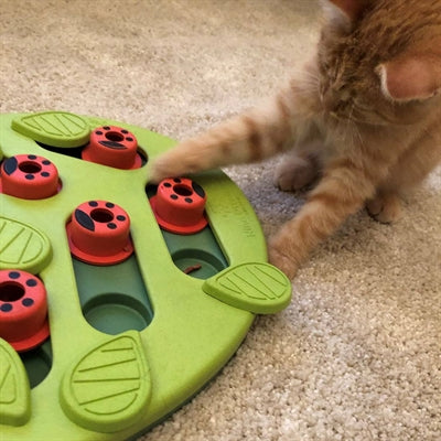 Nina Ottosson Puzzle & Play Buggin Out Vert 35 x 26 x 4 cm