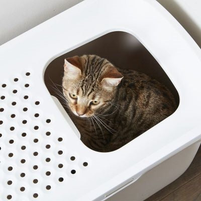 Savic Litter Box Hop In Anthracite / White 58.5X39X39.5 CM