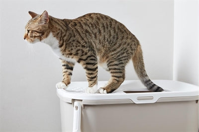 Savic Litter Box Hop In Mocca / White 58.5X39X39.5 CM