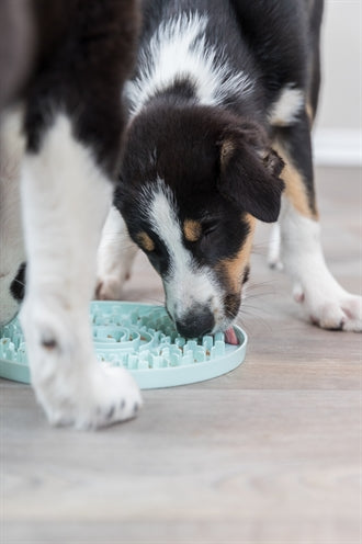 Trixie Junior Lick Plate Mint Green