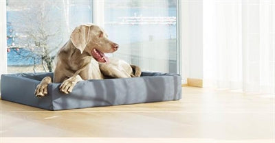 Housse de panier pour chien en simili cuir Bia Bed gris