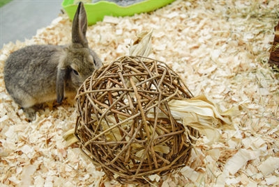 Nature First Happy Pet Toy Willow Nature First