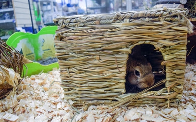 Nature First Happy Pet Grassy Hideaway Cachette GRAND 36X27X18 CM