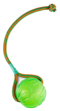 Balle à mâcher Starmark Swing 'N Fling sur cordon 9 CM