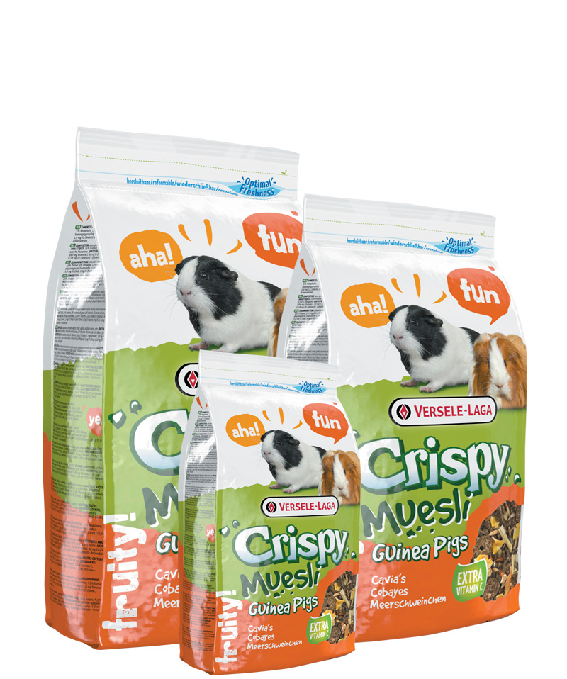 Cochon d'Inde croustillant au muesli
