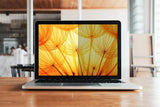 3M Bp123C3E Privacy Filter 3:2 12,3  Bright Screen Vollb.laptop