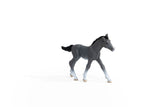 Schleich Horse Club     13944 Trakehner Foal