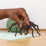 Schleich Wizarding World Aragog                     13987