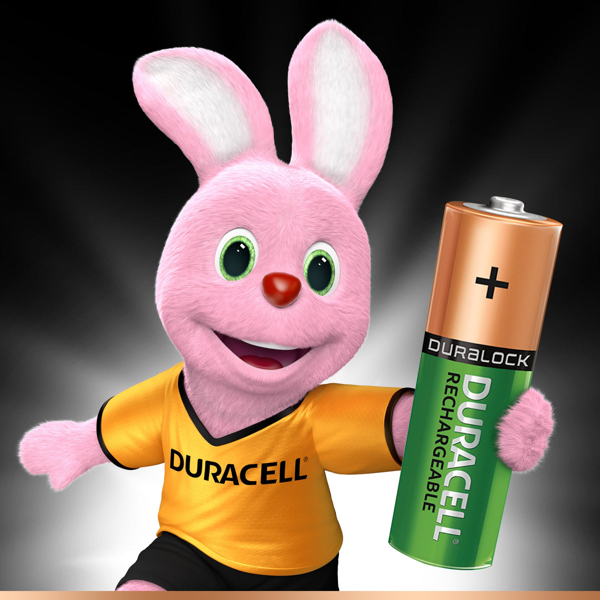 Durac.opl.batt.penl.a4 1300Mah