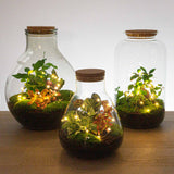 Battery-Operated String Lights - 1 Meter - Warm White - 20 Led Lights