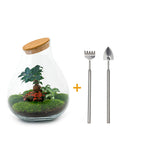 Terrarium Diy Kit - Drop Xxl Bonsai - Bottle Garden - ↑ 43 Cm