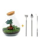 Terrarium Diy Kit - Drop Xxl Bonsai - Bottle Garden - ↑ 43 Cm