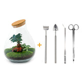 Terrarium Diy Kit - Drop Xxl Bonsai - Bottle Garden - ↑ 43 Cm