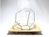 Geometric Terrarium - Torno - Vivarium - ↑ 28 X 26 X 24 Cm (Lxwxh) - Glass