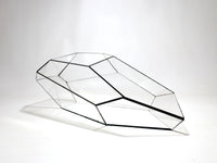Geometric Terrarium - Plantasia - Vivarium ↑ 50 X 25 X 17,5 Cm (Lxwxh) - Glass