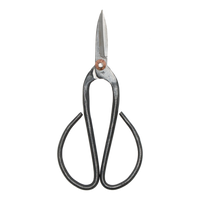Bonsai Shears L - 19 Cm - Bonsai Tool