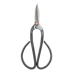 Bonsai Shears L - 19 Cm - Bonsai Tool