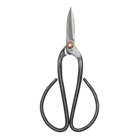 Bonsai Shears L - 19 Cm - Bonsai Tool