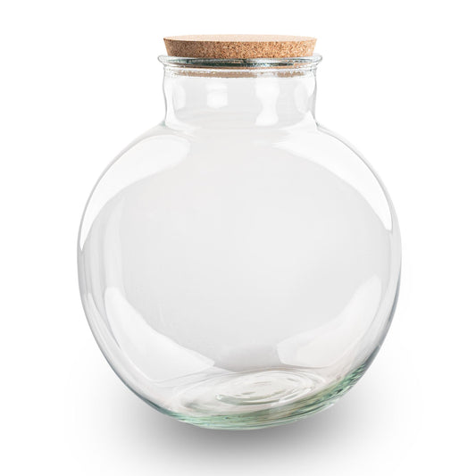 Terrarium Bottle With Cork - Bolder Bob - Closed Terrarium ↑ 30 Cm