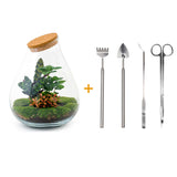 Terrarium Diy Kit - Drop Xxl Red - Bottle Garden - ↑ 43 Cm
