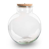 Terrarium Bottle With Light In Cork - Bolder Bob -  ↑ 30 Cm