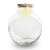 Terrarium Bottle With Light In Cork - Bolder Bob -  ↑ 30 Cm