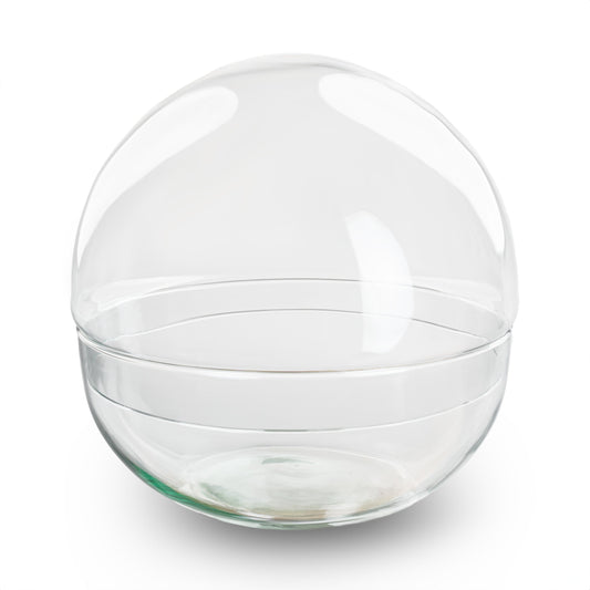 Dome - Globe Glass - Bell Jar - Closed Terrarium ↑20 Cm