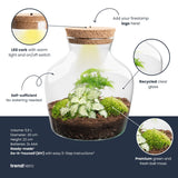 Terrarium Little Joe - Ø 20 Cm ↑ 22 Cm - Relatiegeschenk