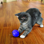 Kong Kat Treat Dispensing Voerbal