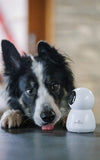 Numaxes Eyenimal Pet Vision Live Hd Camera Zonder Geluid Detectie