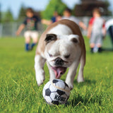 Kong Sport Bal Assorti